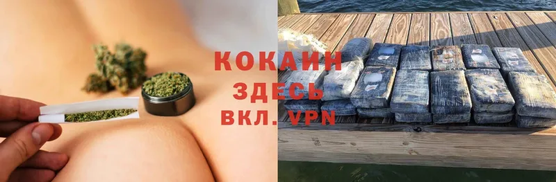 купить наркоту  Кировск  мориарти как зайти  COCAIN 97% 